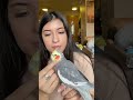 Cockatiel asks For Scritches #cockatiel #parrot #yumyumthetiel #bird