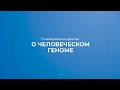 Интернет курс обучения «Генетика» - 11 невероятных фактов о человеческом геноме