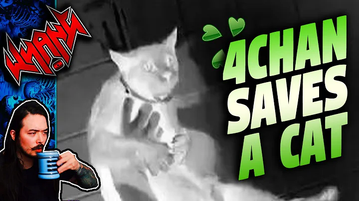 4Chan Rescues a Cat - Tales From the Internet
