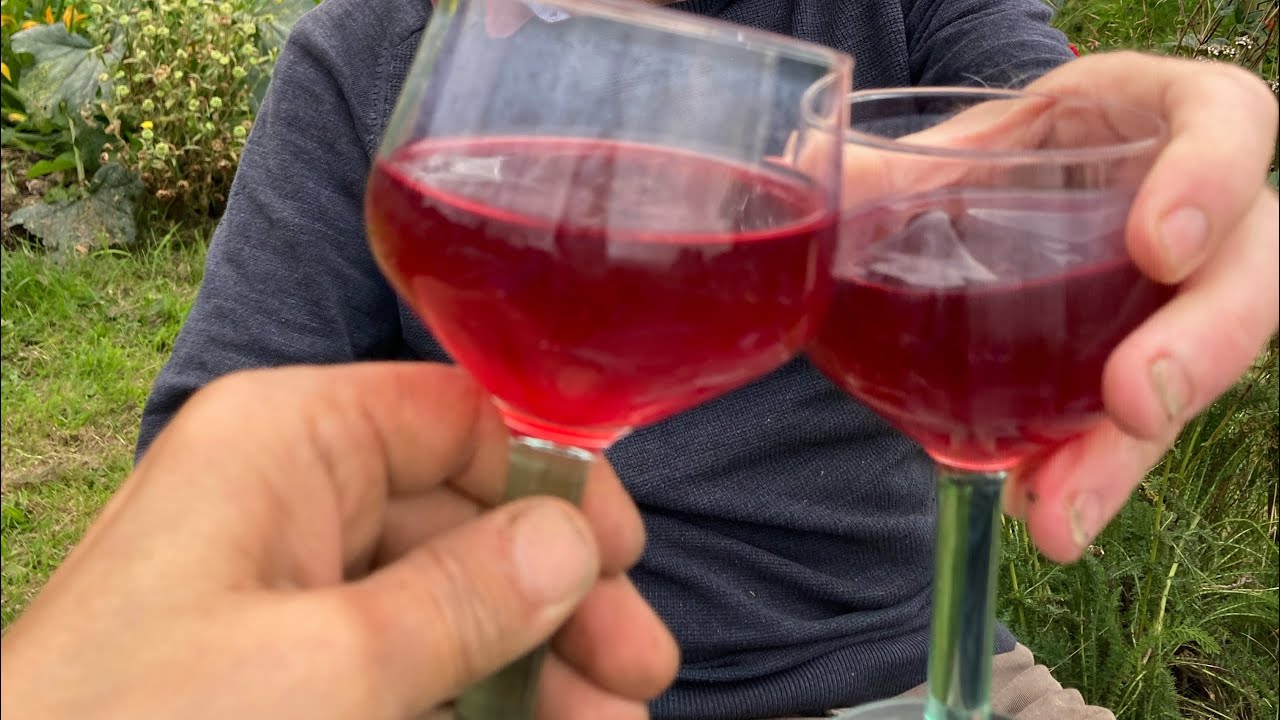 7 homesteading skills everyone can learn!