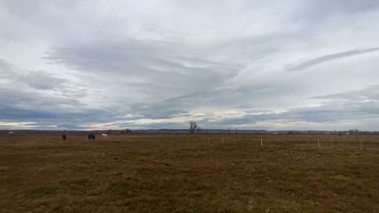 Rev. Edee Weigel Back porch prayers and meditations
