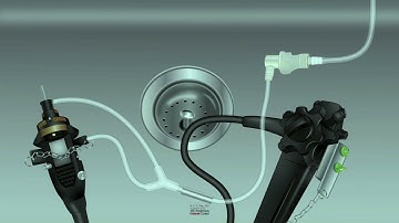 HCC 1473 - 12 Fundamentals of Aseptic Technique- Manual Cleaning