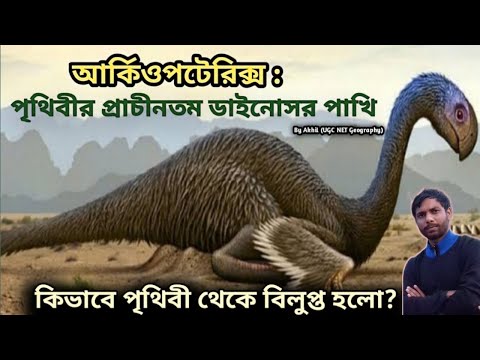 ভিডিও: গিরগিটি দুর্গ