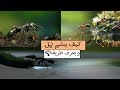 كيف يشم النمل ويعرف طريقه الصحيح كيف يشم النمل ويعرف طريقه الصحيح