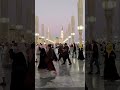 sarkar ka naukar hun#ghulammustafaqadri#reels#hearttouching#naatsharif#madina#foryou#fyp#viral#edit#