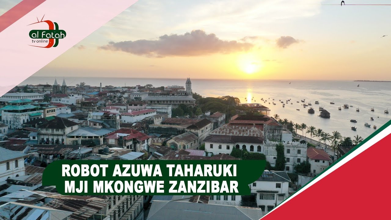 ROBOT AZUA TAHARUKI MJI MKONGWE ZANZIBAR