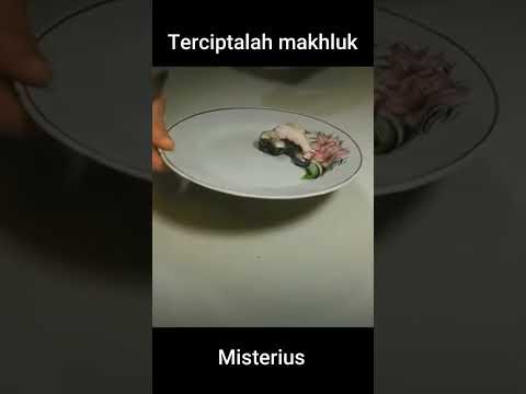 Video: Bilakah telur yang tidak disenyawakan meninggalkan badan?