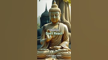 #11 - Observe, Don’t React — Master Your Mind Like the Buddha