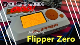 Unboxing: Flipper Zero - Multi-tool Device for Geeks