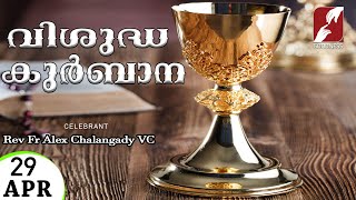 HOLY MASS LIVE @ 6 AM,29 APR 2024|Rev Fr Alex Chalangady VC|MALAYALAM QURBANA|TODAY MASS|GOODNESS TV