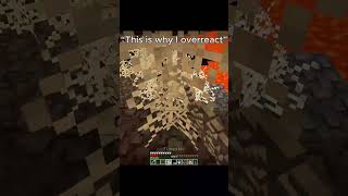 This Is Why I Overreact  #minecraft  #gaming #shorts  #bestminecraftclips