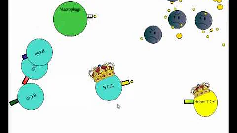 Antibody Production Illustration (IB Biology) - DayDayNews