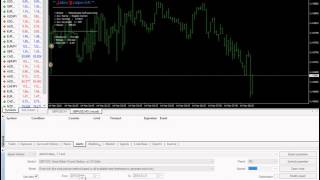 Best EA Forex Robot 50USD to 21000USD in One Month!