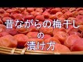 昔ながらの梅干しの漬け方「塩１８～２０％」＃梅干し