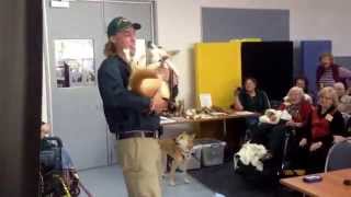 Howling Dingoes