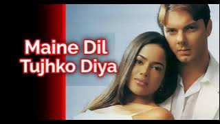MAINE DIL TUJH KO DIYA/SONU / Sohail Khan / Maine dil tuzko diya movie/ full audio song