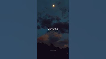 أجمل حالات واتس اب💙🌿||سورة طه😴🌿|| القارئ شريف مصطفى💙🌿||تٌـصّـمًيِّمًيِّ🥀🍃