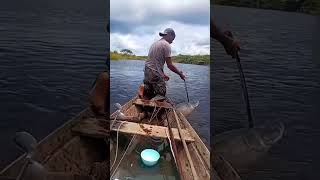 Outdoor fishing for arapaima, the fish was huge! The boat was practically