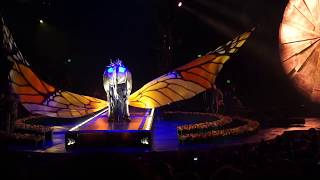 Luzia, Cirque du Soleil- Butterfly & Hoop Diving