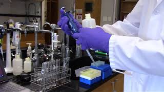 Biuret Assay