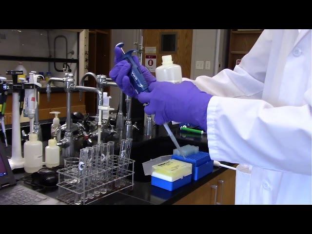 Biuret Assay
