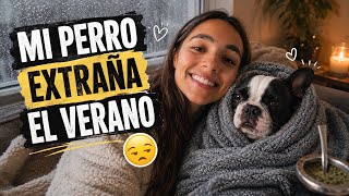¿A MI PERRO NO LE GUSTA EL FRÍO?❄️|More Andrade
