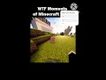 WTF moments of Minecraft Part one     Credit @IMTIYANO #funny