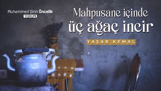 Mapushane İçinde Üç Ağaç İncir- Yaşar Kemal Resimi