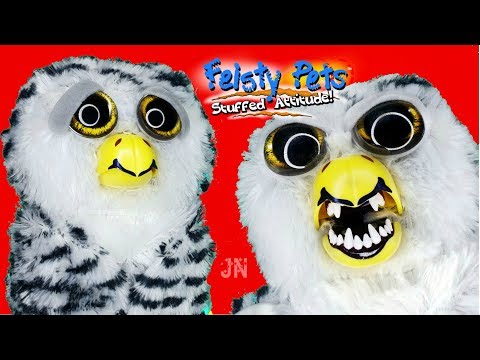 САМАЯ РЕДКАЯ СОВА ПОВЕРГЛА В ШОК 😱! САМАЯ ЗЛАЯ СОВА ОБЗОР Feisty Pets Owl Фейсти Петс