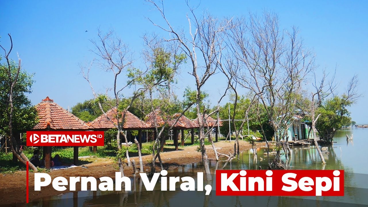 Pernah Viral, Pantai Glagah Wangi Demak Kini Sepi Pengunjung Gara Gara Ini