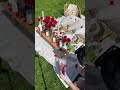 Simple Proposal Idea for Her | Luxury Picnic Setup