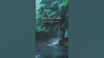 #ارح_سمعك #مصحف #قران #قرآن #تلاوات #القران_الكريم #آيات #الله #صلي_على_محمد #خشوع #راحة_نفسية