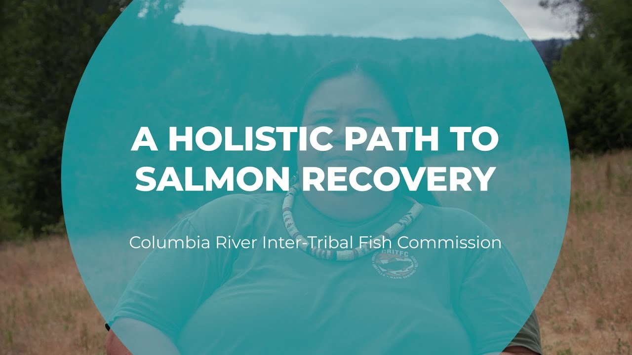 A Holistic Path to Salmon Recovery | CRITFC | Tomorrow's Catch