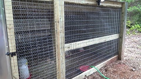 Finishing Chicken Coop and Making it Snake and Predator proof Ep 58