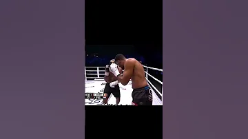 Many Headkicks Many KOs 