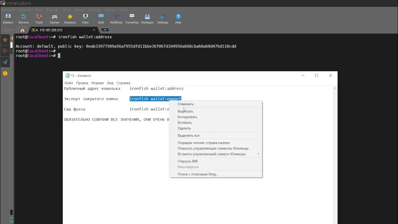 Ironfish how to import and export a wallet. YouTube
