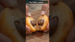 Tiny Golden Loquats! 🌿✨ # #fruit #shorts #viral #fruits Tiny Golden Loquats! 🌿✨ # #fruit #shorts #viral #fruits