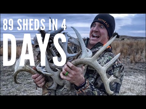 epic-shed-hunting!-89-sheds-in-4-days!-2018-|-bowmar-bowhunting-|