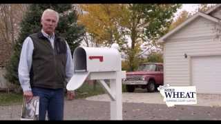 Vote Mike Wheat For Montana Supreme Court