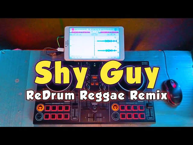 SHY GUY - DIANA KING (REDRUM REGGAE DJROMAR REMIX) class=