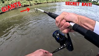 Sacramento river striper fishing is HOT at this Location! The ONLY bait you need for Striper