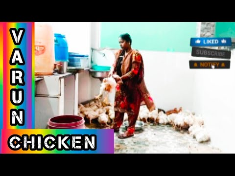 #Women #chicken #slaughter for customers 🐔🐔🐔🐔🐔