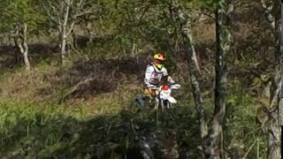 DSCN3141