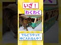 ネッコのためにクロネコ段ボール買ってきたけど思ってたのと違う件www #2ch #2ch面白いスレ #2ちゃんまとめ