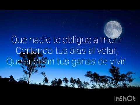 "Que Nadie"- Manuel Carrasco y Malu.                Letra sin horrores ortográficos.