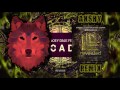 Hardwell & Joey Dale ft Luciana | Arcadia(Akshy Remix)