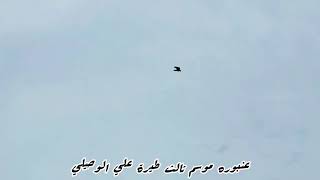 ٢٨ نوفمبر ٢٠٢٥