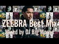 ZEEBRA Best Mix 【📸澁谷&times; 🎧ZEEBRA】 #ZEEBRA #澁谷 #DJ #DJMix #BGM