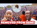 Niseme Nisiseme!! Finally Sen.Osotsi opens up why he was removed from ODM after Raila's death