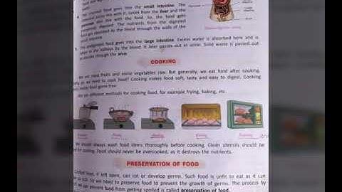 Class-4, Science, Chapter-5, Food and Digestion (Part-2)